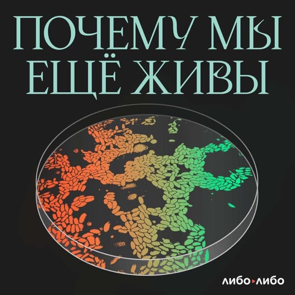 Почему мы ещё живы